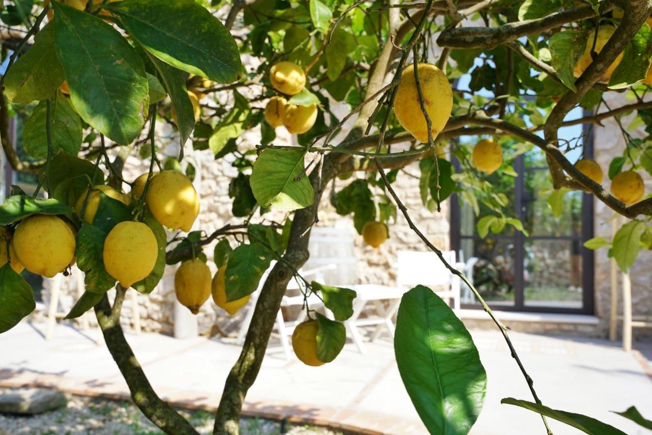 Dimora Storica Villa Pasquale กาปรี ภายนอก รูปภาพ